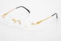 Marcopolo-1106 Gold
